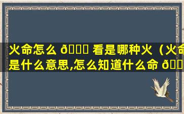 火命怎么 🐋 看是哪种火（火命是什么意思,怎么知道什么命 🌺 ）